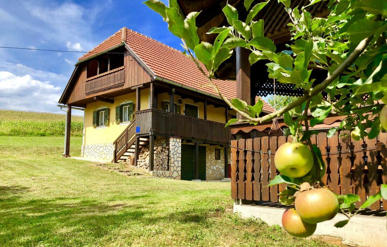 Country House Novosel 더가리사 외부 사진